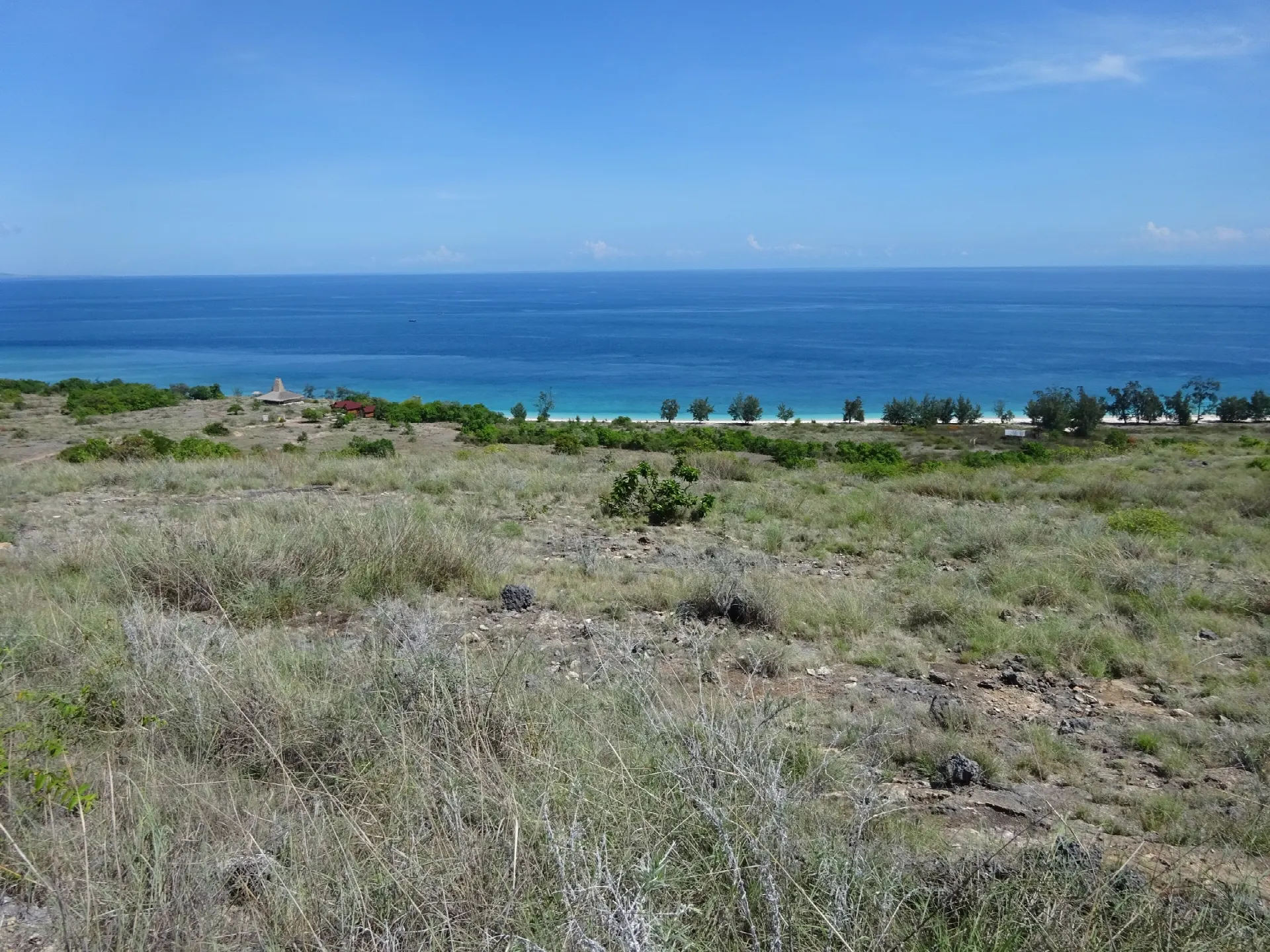 Sumba Diving Center — Savana che Scende verso la Barriera