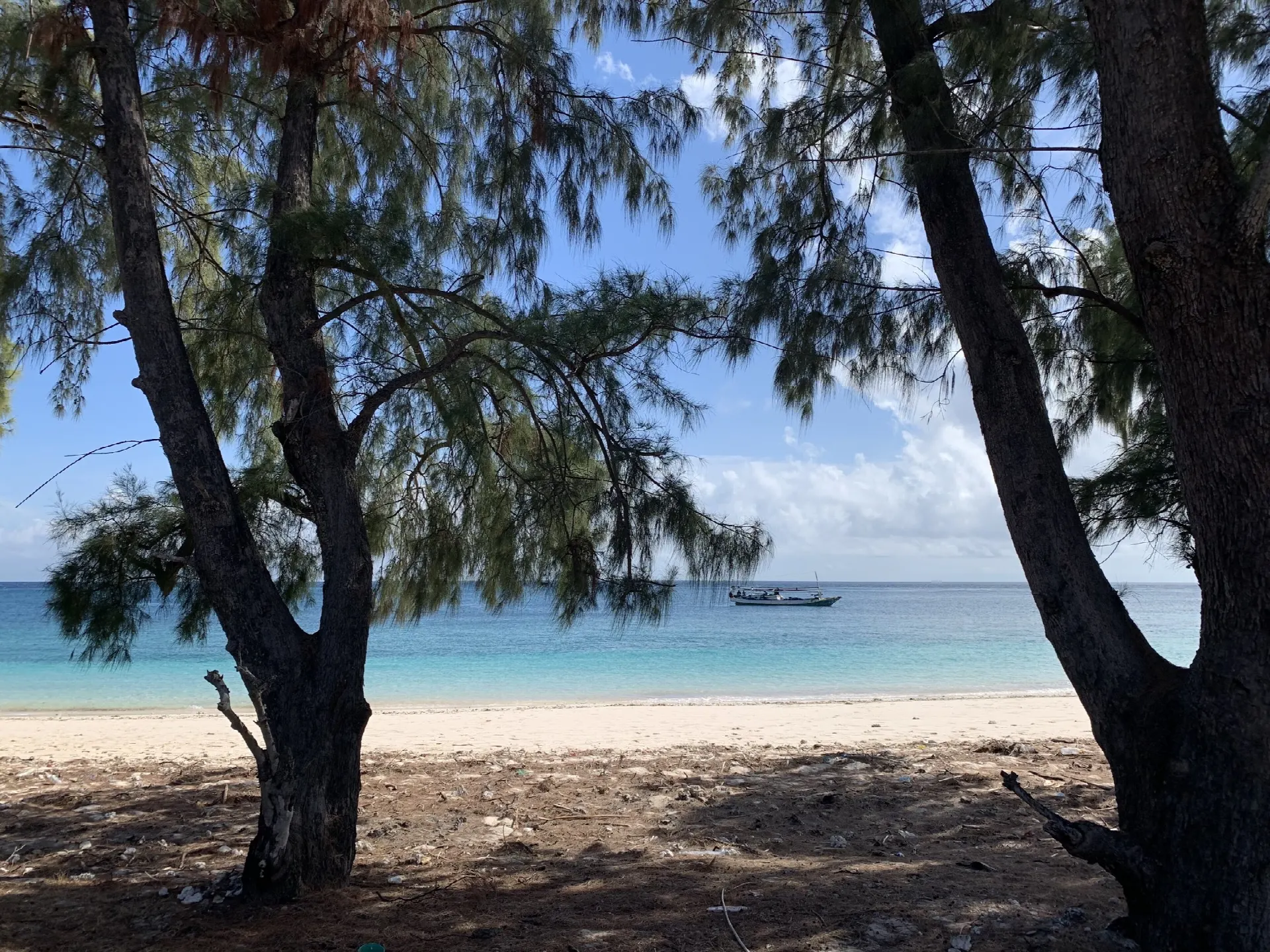Sumba Diving Center — Casuarine sulla Spiaggia