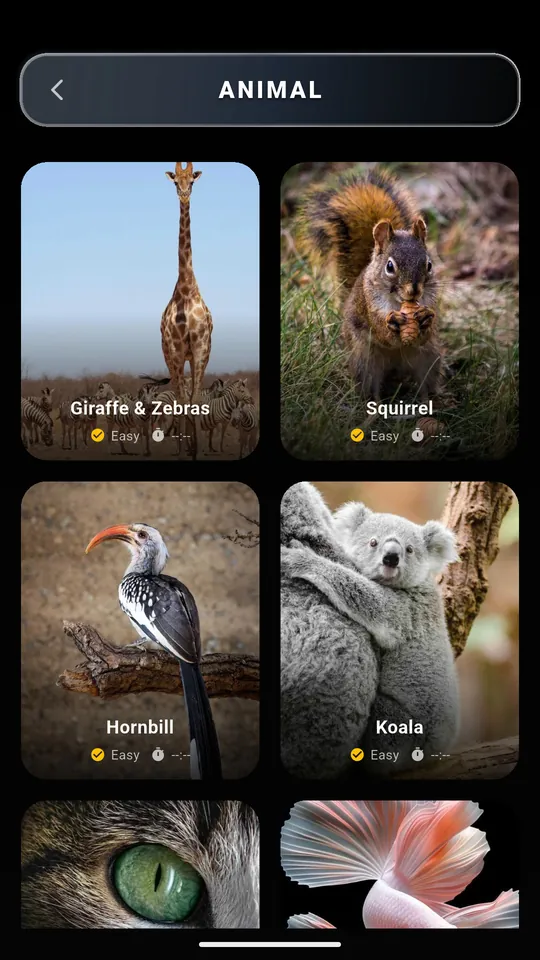 Die Kategorie Tiere in Puzzle AR mit Puzzles von Giraffe, Eichhörnchen, Nashornvogel und Koala