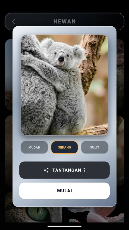 Memilih tingkat kesulitan Mudah, Sedang, atau Sulit, dengan tombol Tantangan, sebelum puzzle koala