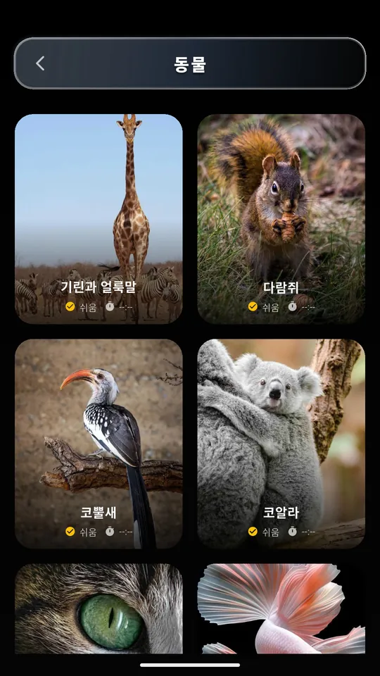 기린, 다람쥐, 코뿔새, 코알라 퍼즐이 있는 Puzzle AR의 동물 카테고리