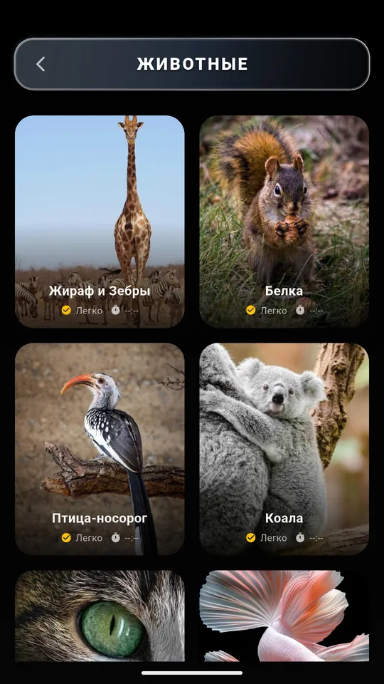 Категория «Животные» в Puzzle AR с пазлами жирафа, белки, птицы-носорога и коалы