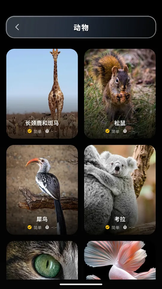 Puzzle AR 的动物类别，包含长颈鹿、松鼠、犀鸟和考拉拼图